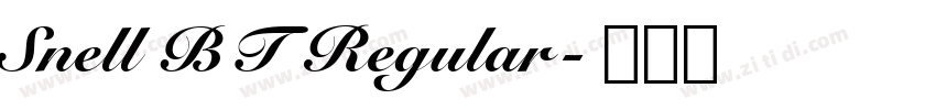 Snell BT Regular字体转换